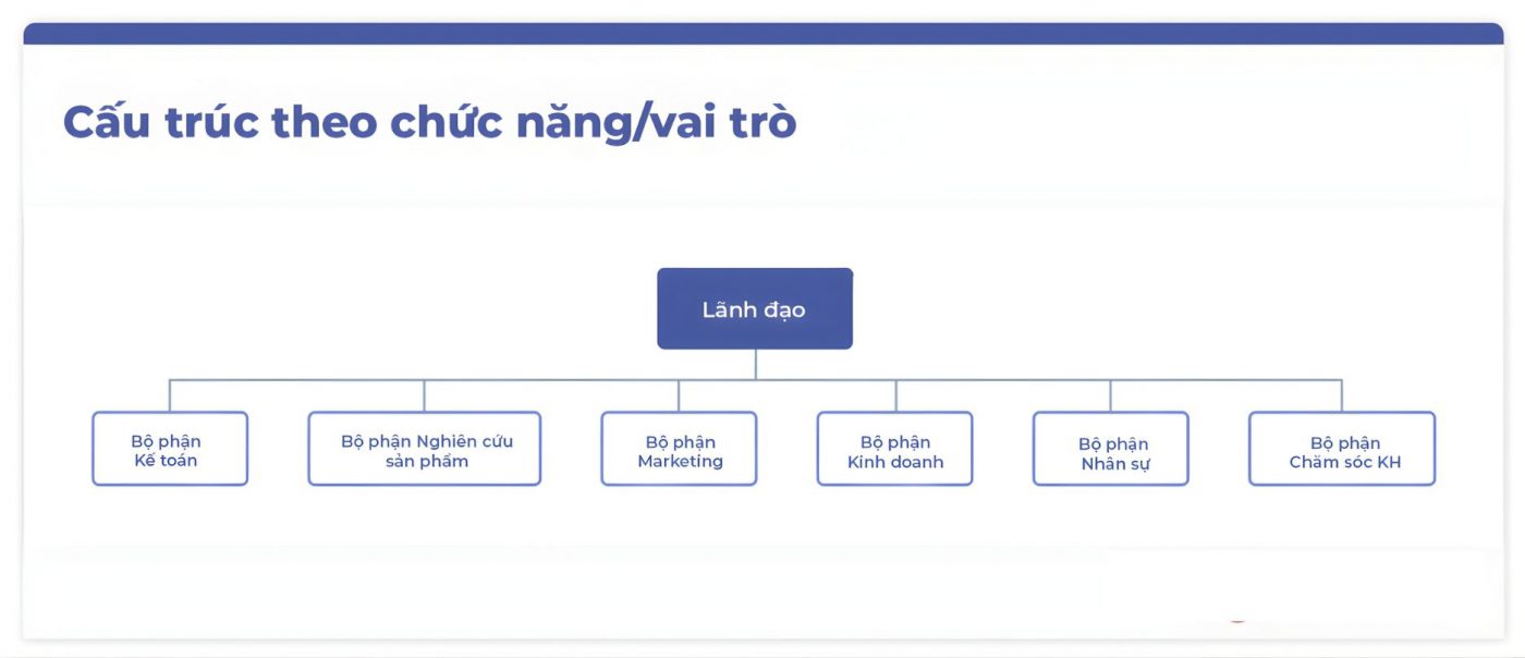 Cấu trúc theo chức năng/Vai trò