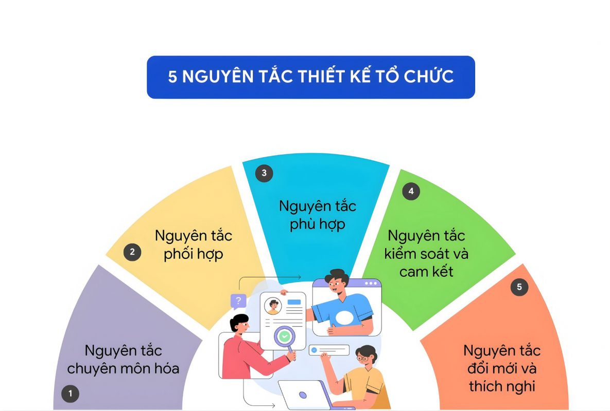5 Nguyên tắc thiết kế cơ cấu tổ chức